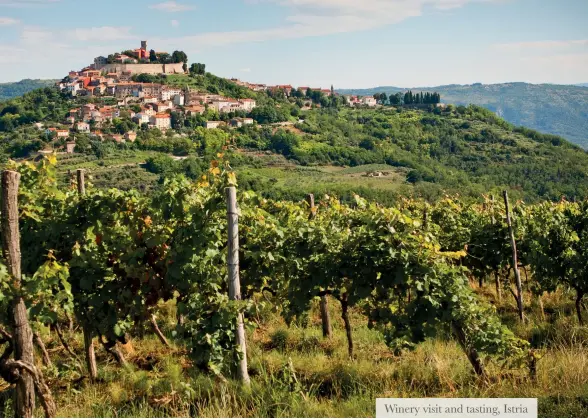  ??  ?? Winery visit and tasting, Istria