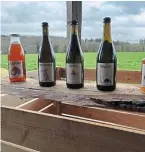  ?? | PHOTO : OUEST-FRANCE ?? Le Domaine des pommes d'Armor produira du cidre, du jus de pomme et du vinaigre de cidre.