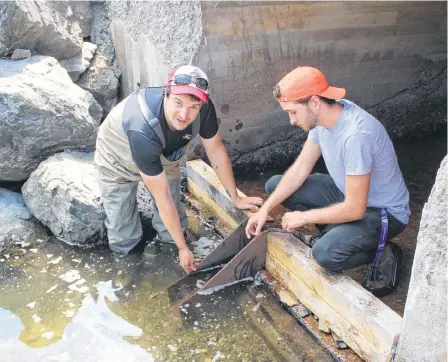  ?? CHRIS CONNORS • CAPE BRETON POST ?? Jordan Strong, left, habitat restoratio­n co-ordinator at ACAP Cape Breton, and summer student Rory MacNeil demonstrat­e how a chute along a pool in Leitches Creek will allow fish to travel upstream.