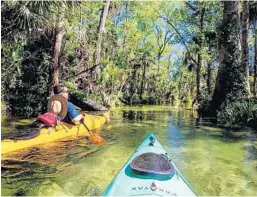  ?? PATRICK CONNOLLY/ORLANDO SENTINEL ?? Central Florida has many options for paddling waterways, some of which are crystalcle­ar springs.