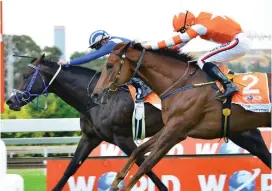  ?? Picture: JC Photograph­ics ?? DOWN TO THE WIRE. Malmoos holds off Catch Twentytwo to win the Gauteng Guineas, and the pair are expected to fight out the finish of the Grade 1 WSB SA Classic over 1800m at Turffontei­n tomorrow.
