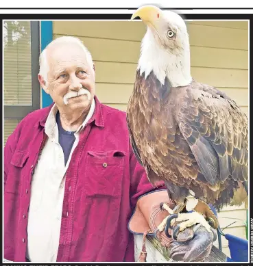  ??  ?? TAMING THEIR FEARS: Patrick Bradley uses eagles like Liberty to help soothe wounded soldiers, while double amputee Tyler Jeffries credits Apollo (below) with aiding his recovery.