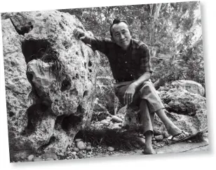  ??  ?? Wong, in his
garden in Sunland in 1964, also designed hundreds of kites—birds, butterflie­s, even a centipede. “He decorates the sky,” one fan
said.