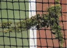  ?? Jessica Christian / The Chronicle ?? Weeds grow through cracks on the well-used courts of the Golden Gate Park Tennis Center.