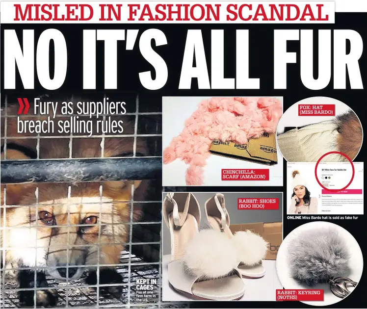  ??  ?? KEPT IN CAGES Fox at one firm farm in the US ONLINE Miss Bardo hat is sold as fake fur FOX: HAT (MISS BARDO) CHINCHILLA: SCARF (AMAZON) RABBIT: SHOES (BOO HOO) RABBIT: KEYRING (NOTHS)