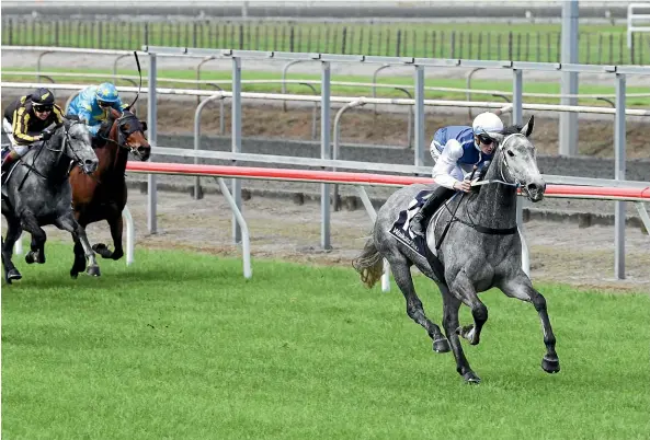  ?? TRISH DUNELL ?? Polly Grey and rider Sam Weatherley clear out in the Matamata Cup yesterday.