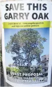  ??  ?? A poster circulated around Oak Bay by the group opposed to the condominiu­m developmen­t that would require the Garry oak tree to be cut down.