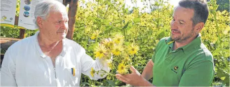  ?? FOTO: BERND BAUR ?? Imker Manfred Karle (links) und Landwirt Gerd Neidlinger freuen sich über die blühende Silphiepra­cht.