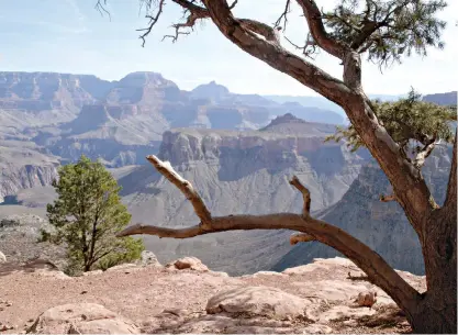  ?? Chicago Tribune ?? ABOVE:
The views are expansive from the South Kaibab Trail, which descends 4,860 feet over 6.3 miles from the rim to the Colorado River. The trail follows ridge lines, resulting in impressive, unobstruct­ed views.