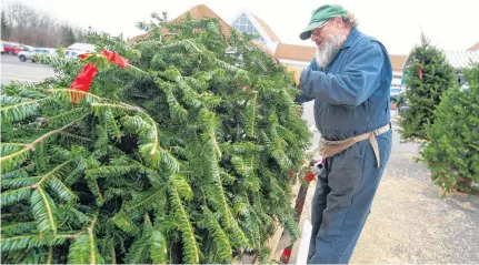  ?? RYAN TAPLIN • THE CHRONICLE HERALD ?? Neil Macmillan bales a tree at a tree lot in the Atlantic Superstore parking lot in Upper Tantallon on Monday. Macmillan says there isn't a shortage of Christmas trees; however, people are buying trees earlier than usual.