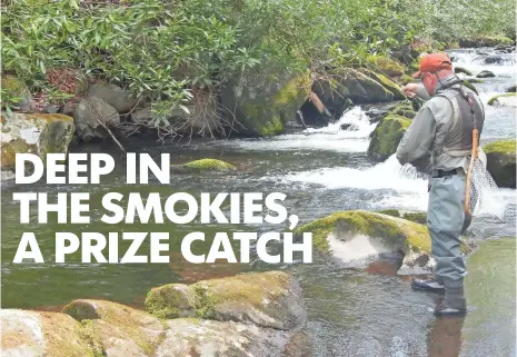  ?? PHOTOS BY GARY GARTH FOR USA TODAY ?? Fishing guide Tim Tipton surveys the landscape at Lynn Camp Prong in the Great Smoky Mountains National Park. The park covers 522,427 acres and rises to a pinnacle of 6,643 feet above sea level with 16 peaks above 6,000 feet.