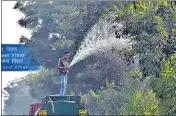  ?? HT PHOTO ?? A PWD worker sprays water on trees in New Delhi.