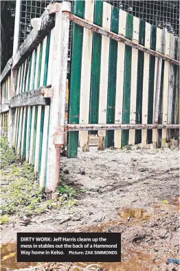  ?? DIRTY WORK: Jeff Harris cleans up the mess in stables out the back of a Hammond Way home in Kelso. ??