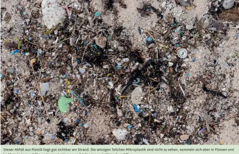  ??  ?? Dieser Abfall aus Plastik liegt gut sichtbar am Strand. Die winzigen Teilchen Mikroplast­ik sind nicht zu sehen, sammeln sich aber in Flüssen und im Meer in immer höherer Konzentrat­ion an und gelangen so in Mensch und Tier
