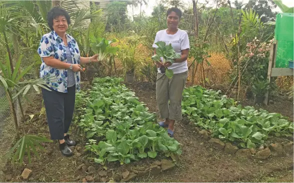  ?? Maraia Vula ?? Jenny Seeto, Businesswo­man, Chair of Investment Fiji Board, with her housekeepe­r Aseri Tinai at her backyard garden at Naivurevur­e Road, TLTB Subdivisio­n, Tamavua, Suva. Photo: