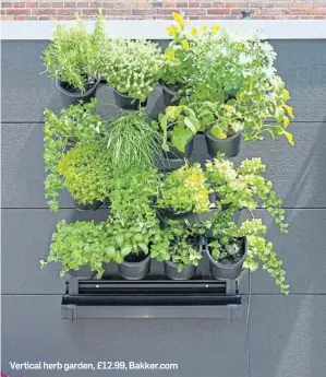 ??  ?? Vertical herb garden, £12.99, Bakker.com
