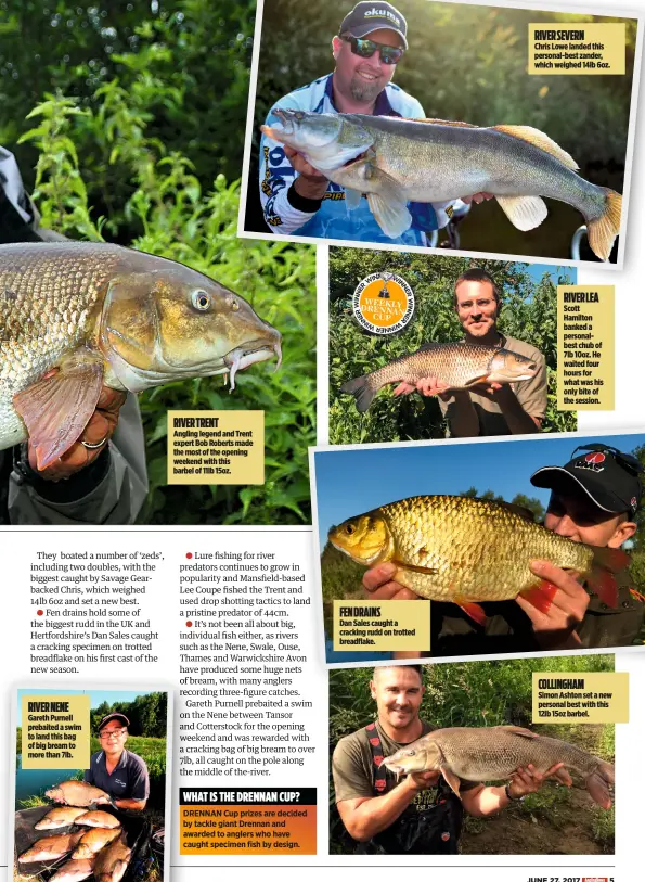  ??  ?? Gareth Purnell prebaited a swim to land this bag of big bream to more than 7lb. RIVER NENE Angling legend and Trent expert Bob Roberts made the most of the opening weekend with this barbel of 11lb 15oz. FEN DRAINS Dan Sales caught a cracking rudd on trotted breadflake. Chris Lowe landed this personal-best zander, which weighed 14lb 6oz. Scott Hamilton banked a personalbe­st chub of 7lb 10oz. He waited four hours for what was his only bite of the session. COLLINGHAM Simon Ashton set a new personal best with this 12lb 15oz barbel. RIVER TRENT RIVER LEA RIVER SEVERN