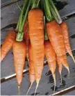  ?? PHOTO: FILE ?? Government­s should use carrots to reward farmers rather than sticks to punish them.