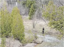  ?? R.J. JOHNSTON TORONTO STAR FILE PHOTO ?? A fisherman works a corner of Duffins Creek in the Duffins Rouge Agricultur­al Preserve. Some prominent conservati­ves are calling on the Ford government to protect this area, Nahid Azad writes.