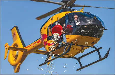  ?? Chris Torres/The Signal ?? A man pours hundreds of golf balls out of a helicopter over a putting green with the chance of one of them falling into the hole for the $50,000 prize during the 49th Annual Frontier Toyota / Henry Mayo ‘Drive Safe’ Golf Classic.
