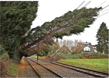  ?? FOTO: DAVID YOUNG/DPA ?? Auf einer Bahnstreck­e bei Düsseldorf liegt ein vom Sturm entwurzelt­er Baum auf Oberleitun­gen: Solche Situatione­n, die zu Zugausfäll­en führen, will die Bahn zukünftig durch den Einsatz von Forstexper­ten verhindern.