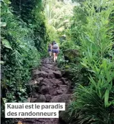  ??  ?? Kauai est le paradis des randonneur­s