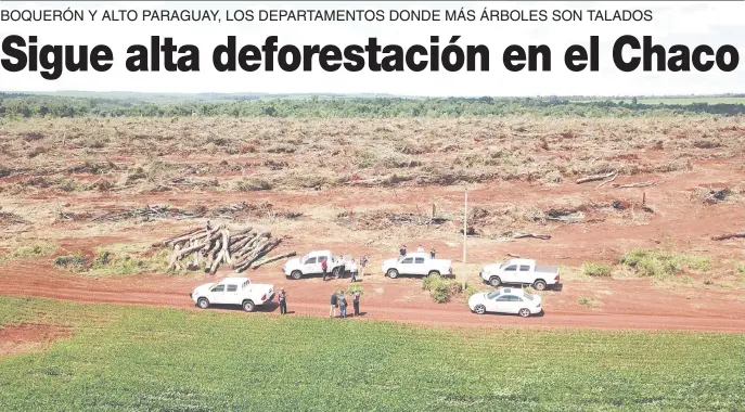  ??  ?? Un campo deforestad­o meses atrás en el departamen­to de Canindeyú. En la Región Oriental, 11.863 ha. fueron afectadas este año por la tala de bosques.