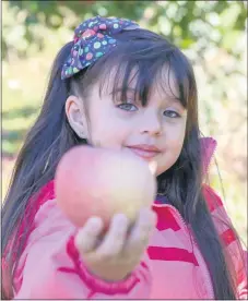  ?? MEDIANEWS GROUP FILE PHOTO ?? Rupert Elementary kindergart­ner Emely Rojas-Romero shows off her pick during the school’s pre-COVID field trip to Frecon Farms.