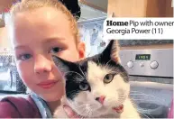  ??  ?? Home Pip with owner Georgia Power (11)