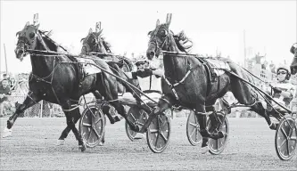  ?? BEN STROUP THE ASSOCIATED PRESS ?? Courtly Choice and David Miller get up in the final strides to defeat Dorsoduro Hanover (1) to win the Little Brown Jug, Sept. 20, in Delaware, Ohio.