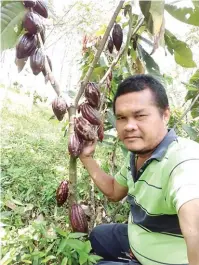  ??  ?? The author and his fruiting 18-month old cacao.