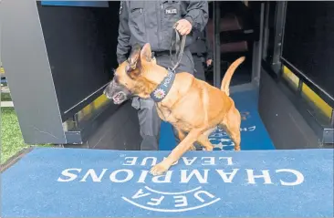  ?? [ APA ] ?? Ein Polizeihun­d im Stadion von Dortmund. Die Sicherheit­smaßnahmen sind massiv verstärkt worden.