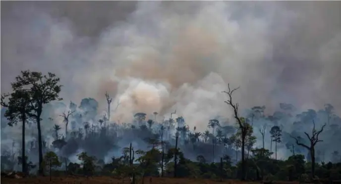  ?? © João Laet/afp ?? Het Amazonewou­d brandt, augustus 2019.