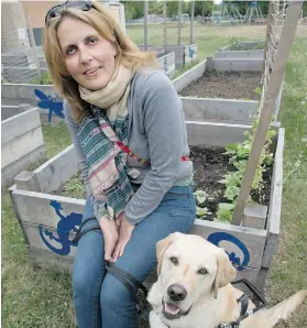  ?? Bruce Edwards/Edmonton Journal ?? Margaret Seewalt at the Inglewood community garden she helped start. She is blind and has a guide dog named Cosmo. She weeds by feel.