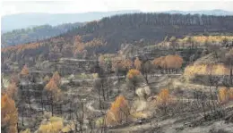  ?? DANIEL TORTAJADA ?? Panorámica de los montes de Bejis arrasados por el fuego en agosto.