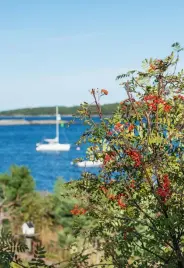  ??  ?? Far left: Her garden is the perfect spot to enjoy the annual yacht race