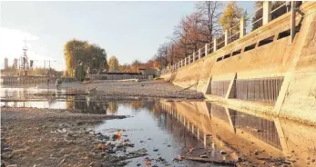  ?? FOTO: TANJA POIMER ?? Hinter Gittern: Können Kanalisati­on und Überlaufbe­cken den Regen nicht mehr verarbeite­n, fließt durch die Entlastung­sleitung, die neben der Freitreppe aufgetauch­t ist, Wasser in den See.