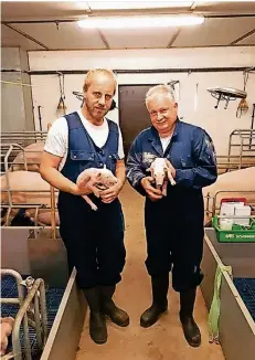  ?? FOTO: PRIVAT ?? Schweineba­uer Wilhelm Hellmanns (l.) mit seinem Praktikant­en Frank Hoffmann (Grüne) nach einer erfolgreic­hen Ferkelgebu­rt.