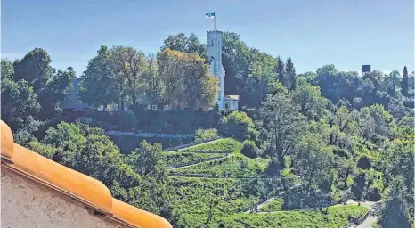  ?? FOTO: BERND ADLER ?? Zu einem beliebten Spazierweg und Aufenthalt­sort hat sich der Serpentine­nweg unterhalb der Ravensburg­er Veitsburg entwickelt. Das führt aber auch zu Problemen.