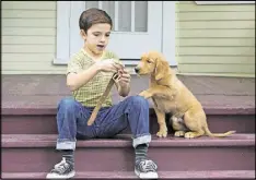  ?? JOE LEDERER/UNIVERSAL STUDIOS VIA AP ?? Bryce Gheisar hangs out with his pet in “A Dog’s Purpose.”