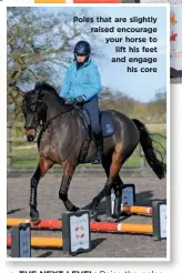  ??  ?? Poles that are slightly raised encourage your horse to lift his feet and engage his core