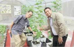  ??  ?? SHOWCASE AT THE TRADE SHOW – Photo shows Panu Taweepopn (right) and Zac B. Sarian inside the greenhouse that Panu showcased at the Sima-Asean Agribusine­ss trade show. Panu operates his little melon farm of 3,200 square meters by himself with occasional...