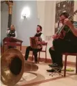  ?? Foto: B. Probst ?? Sie boten ein schönes Konzerterl­ebnis in der Synagoge: Sabrina Walter, Johannes Sift und Stefan Hegele von der Gruppe Quetschend­atschi.