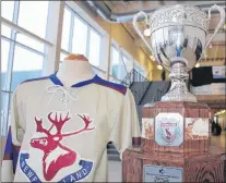  ?? SUBMITTED ?? The Beaumont Hamel Centennial Cup was donated by the Holy Spirit Falcons and first competed for in 2016.