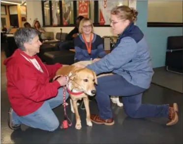  ?? PHOTOS BY MICHILEA PATTERSON — FOR MEDIANEWS GROUP ?? Pottstown YMCA Program Director Logan Finerfrock, on the right, pets Tessa, a Labrador-mix therapy dog during a combined blood drive and wellness fair at the Montgomery County Community College campus in Pottstown.