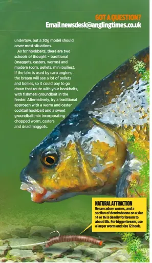  ??  ?? NATURAL ATTRACTION Bream adore worms, and a section of dendrobaen­a on a size 14 or 16 is deadly for bream to about 5lb. For bigger bream, use a larger worm and size 12 hook.