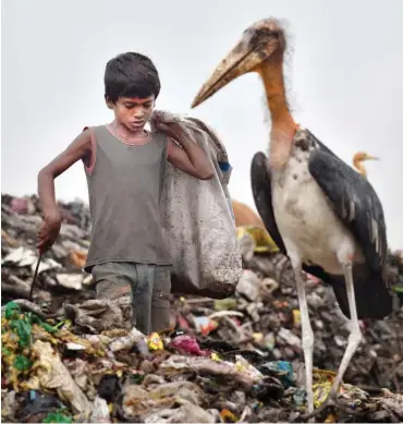  ?? Foto: AFP/Biju Boro ?? In Indien wird besonders wenig umverteilt, arme Kinder müssen teils Müll sammeln, um zu überleben.