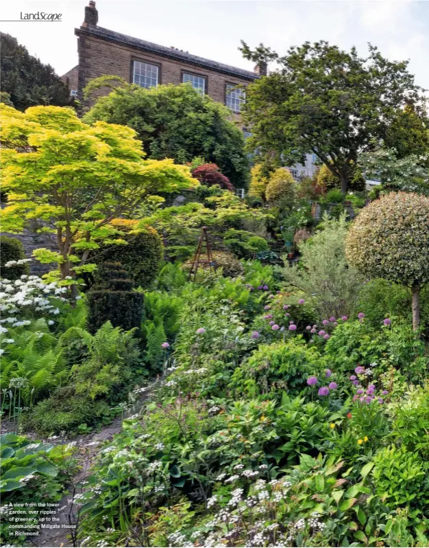  ??  ?? A view from the lower garden, over ripples of greenery, up to the commanding Millgate House in Richmond.