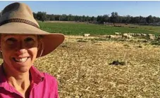  ??  ?? Stacey Gall with some sheep at Whetstone Organics.