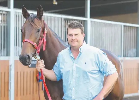  ??  ?? Trainer Chris Anderson with four-year-old Sharp Speedo, who he believes just needs luck to win more races.